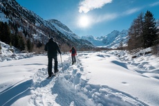Schneeschuhtrail Morteratsch